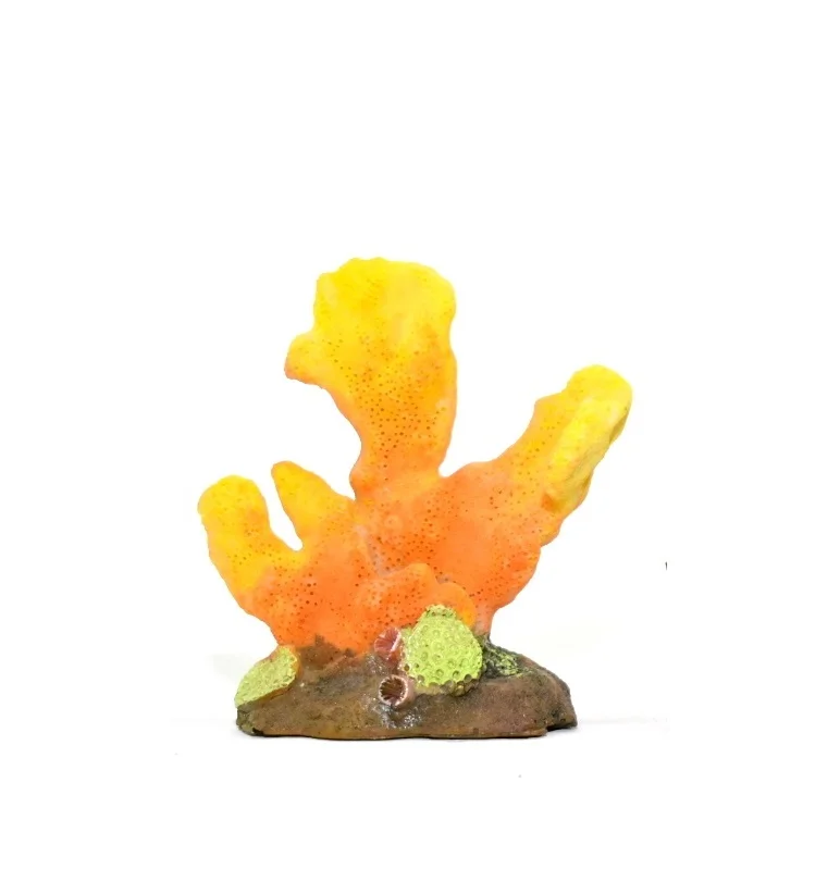 Coral Anaranjado Y Amarillo