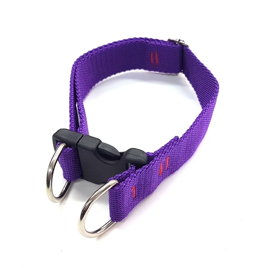 Collar Ny. Regulable 02