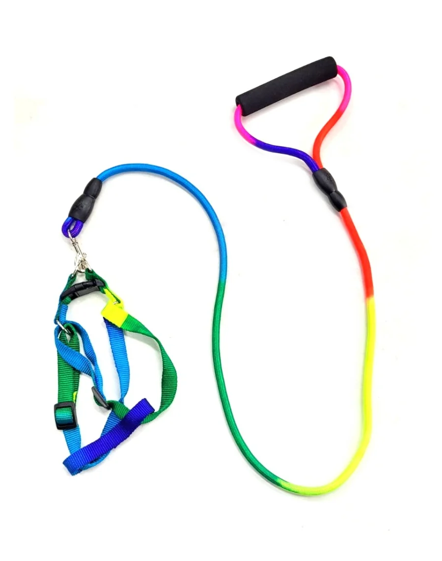 Conjunto Pretal Y Correa Alpina Fluo 2 Cm
