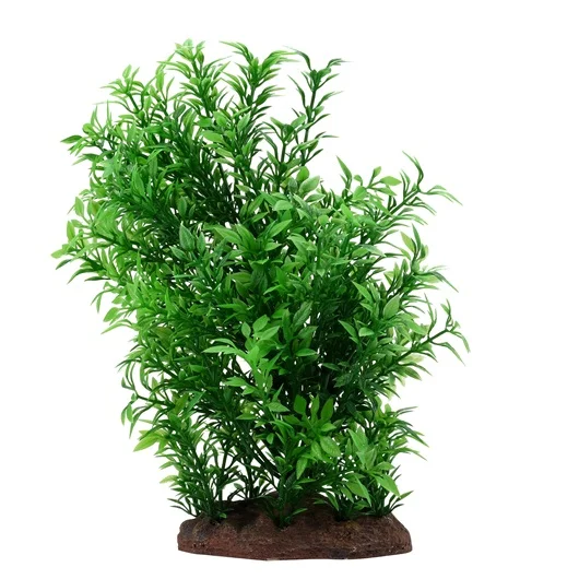 Planta Bacopa Large Fluval