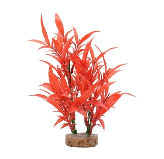 Planta Red-hygrophila Fluval