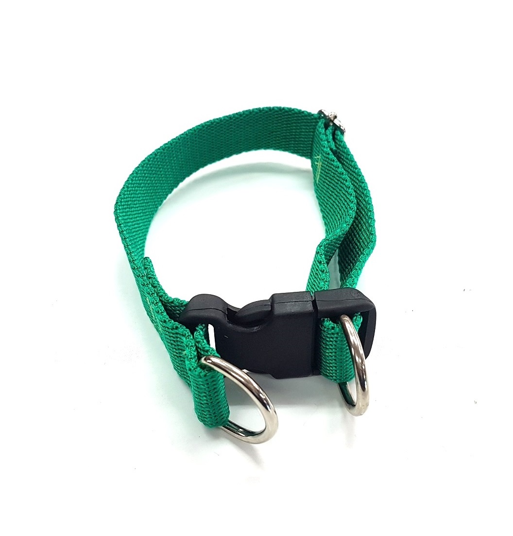 Collar Ny. Regulable 04