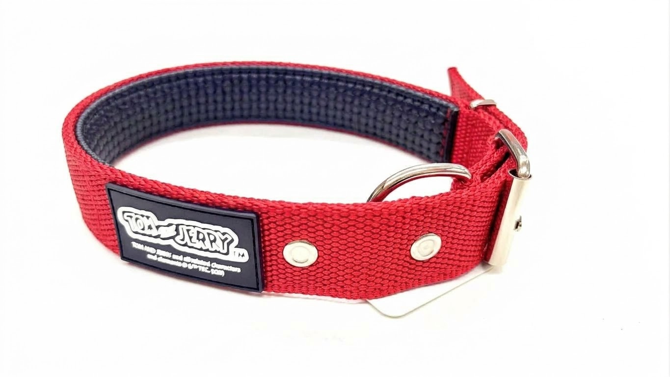 Collar Red Ref. C/hebilla Metal L 2,5x55 Cm