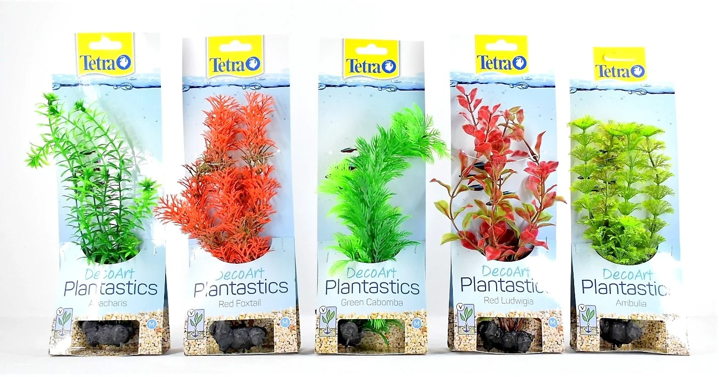 Planta Deco Art Large