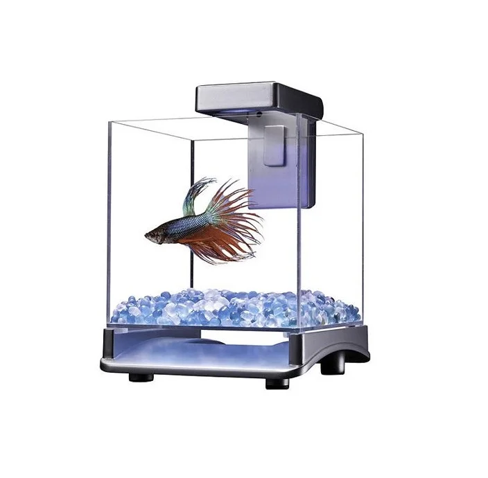 Tetra Betta Cube Con Led