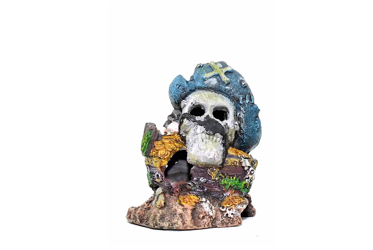 Tesoro Pirata Small